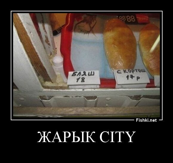 Жарык city