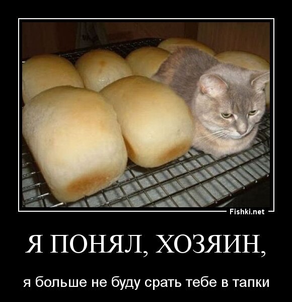 Я понял, Хозяин,