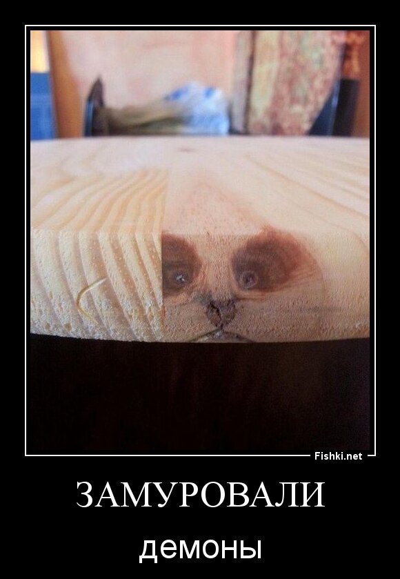 ЗАМУРОВАЛИ