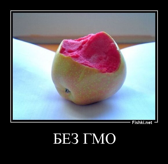 без гмо