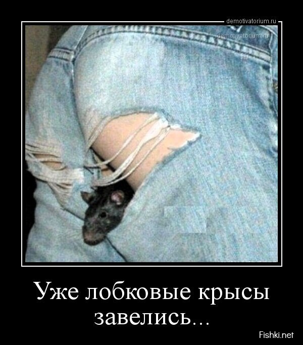 Смешной демотиватор от zubrilov за 05.04.2013 №152285
