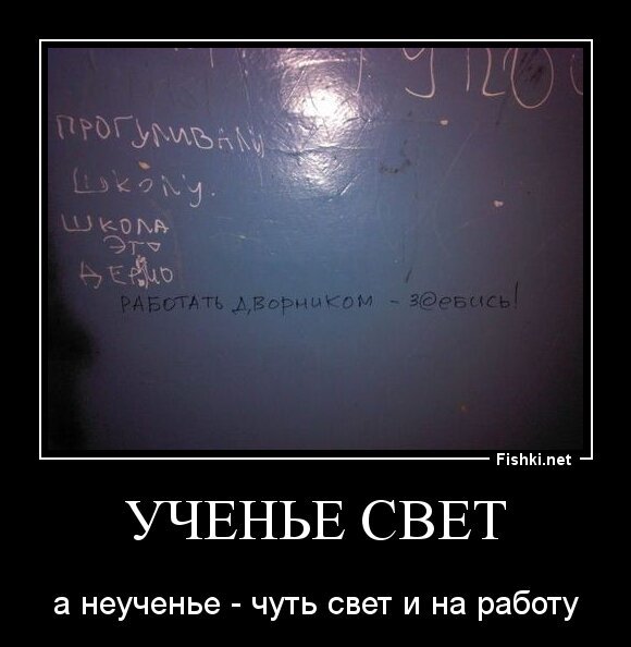 Ученье свет а неученье чуть свет и на работу картинка