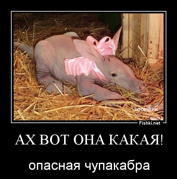 Ах вот она какая!