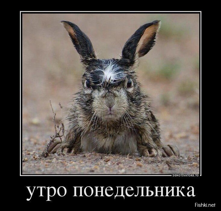 Демотиваторы, часть 364.