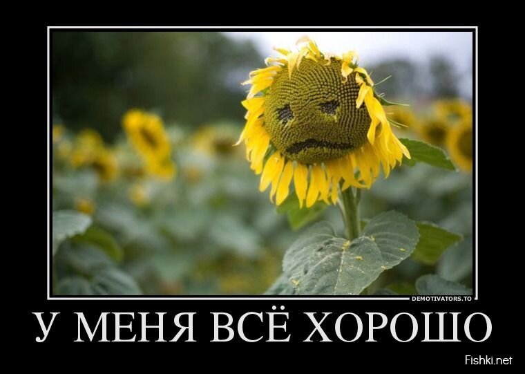 Смешной демотиватор от zubrilov за 08.04.2013 №152557