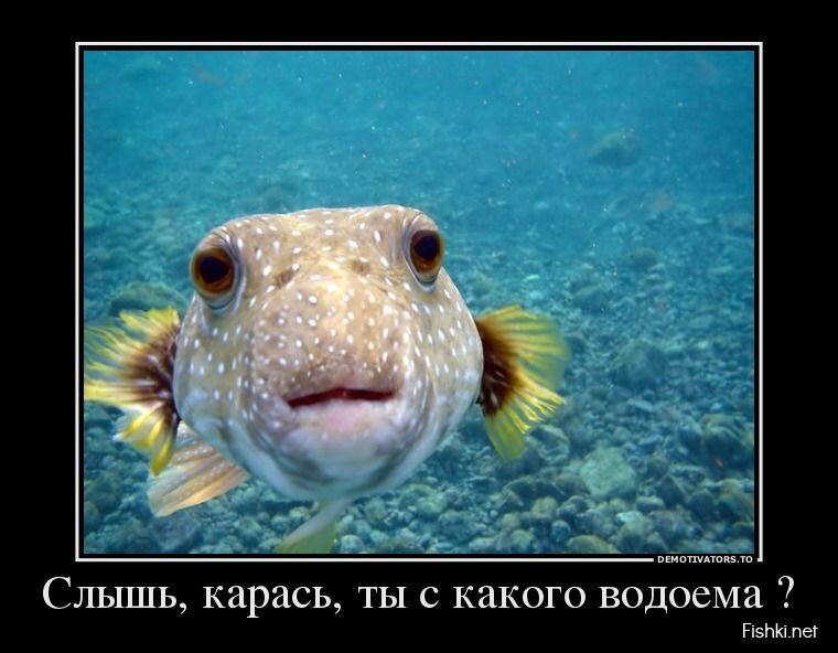 Смешной демотиватор от zubrilov за 08.04.2013 №152565