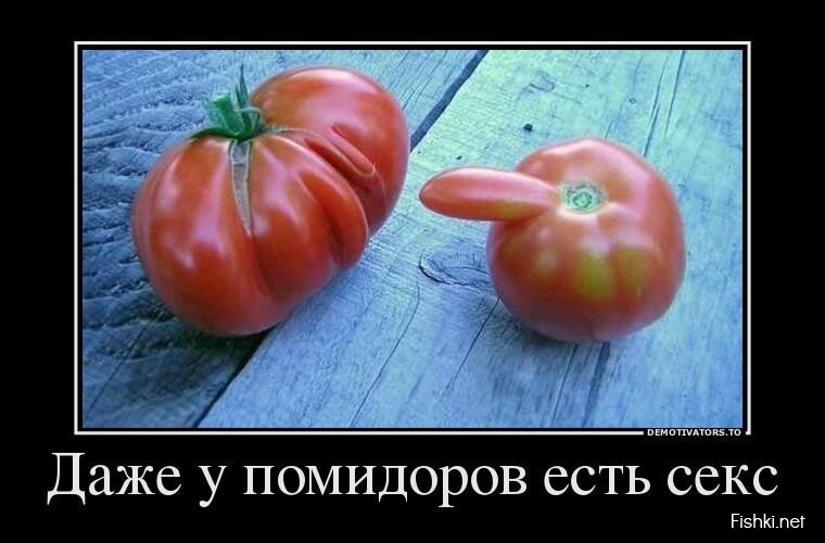 Демотиваторы, часть 364.