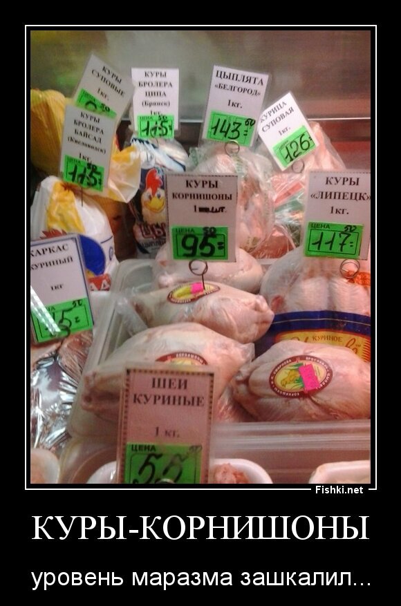 куры-корнишоны
