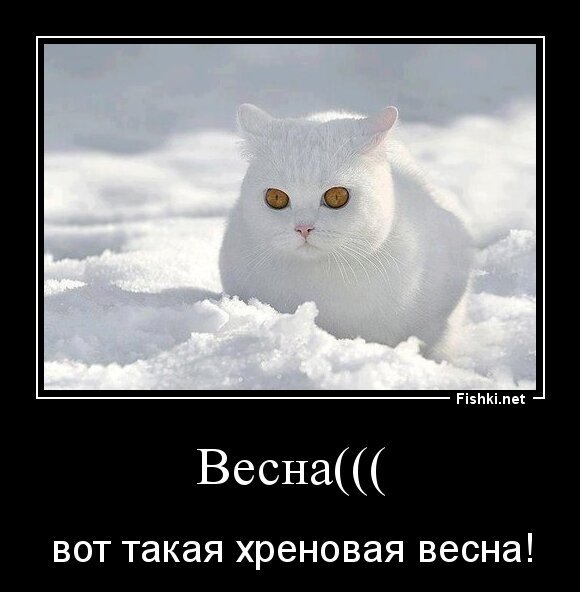 Весна(((