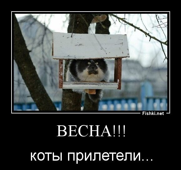 ВЕСНА!!!