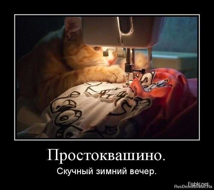 Смешной демотиватор от zubrilov за 10.04.2013 №152831