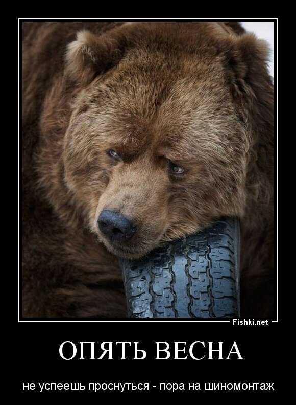  ОПЯТЬ ВЕСНА