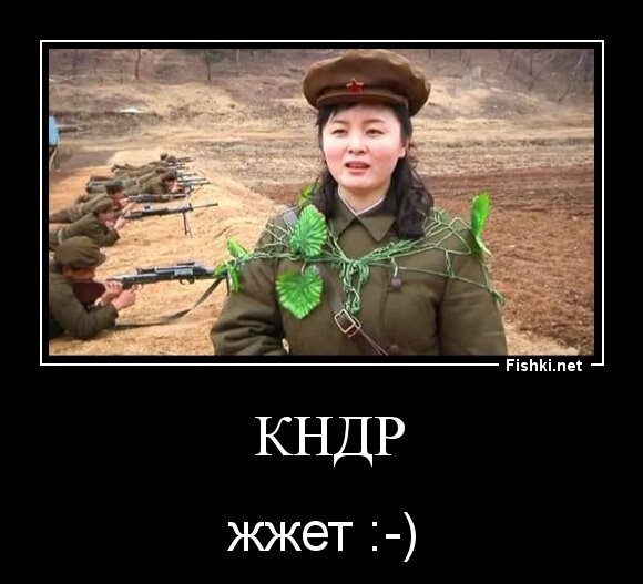  кндр