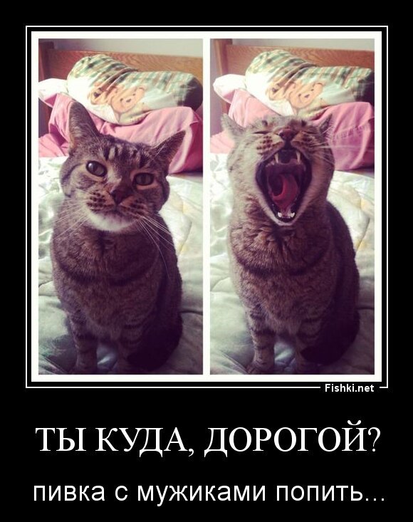 ты куда, дорогой?