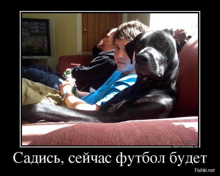 Демотиваторы, часть 366.