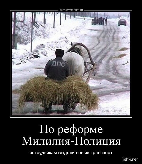 Смешной демотиватор от zubrilov за 12.04.2013 №153094