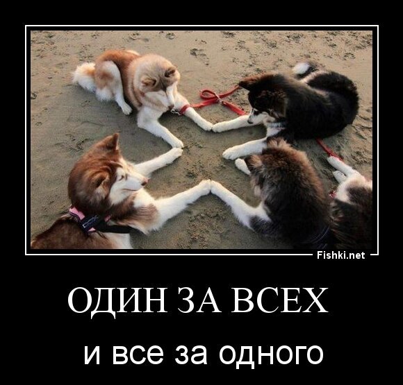 один за всех 