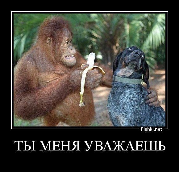 ты меня уважаешь