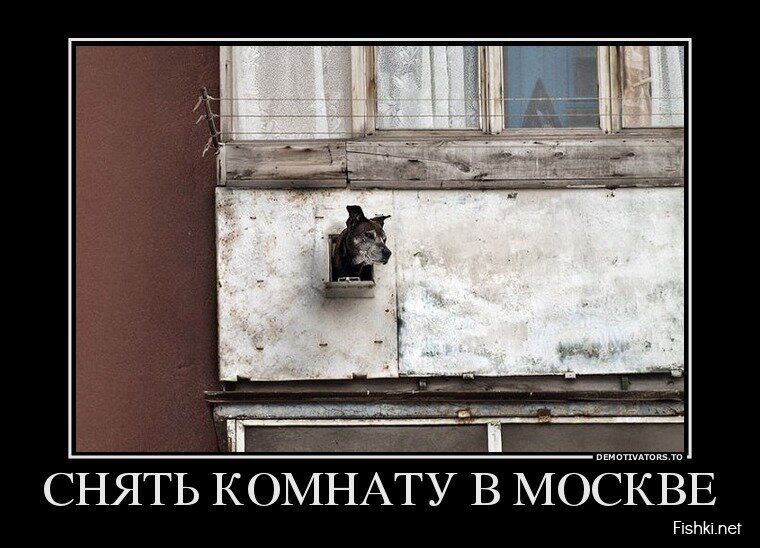 Смешной демотиватор от zubrilov за 17.04.2013 №153574