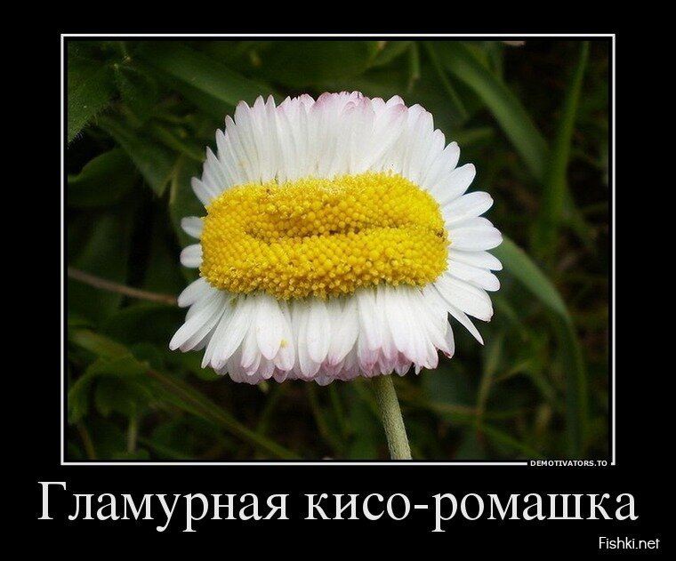 Смешной демотиватор от zubrilov за 17.04.2013 №153582