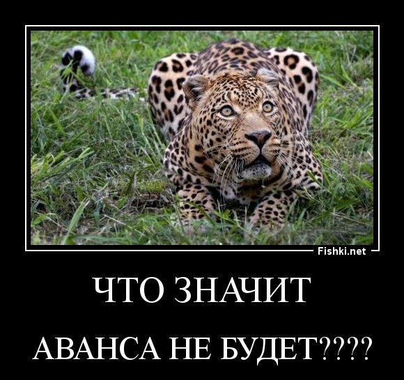 что значит