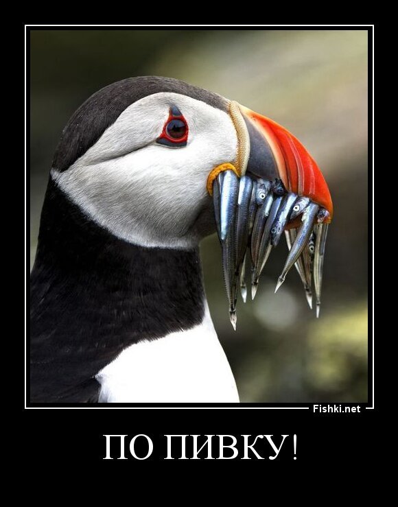 по пивку!