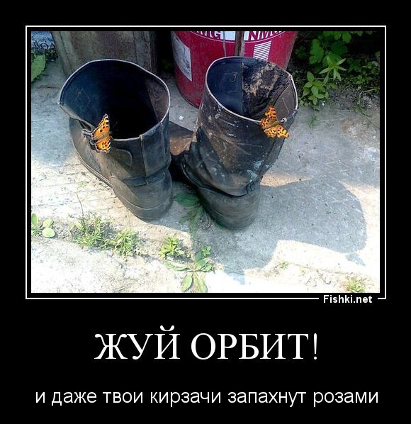 жуй орбит!