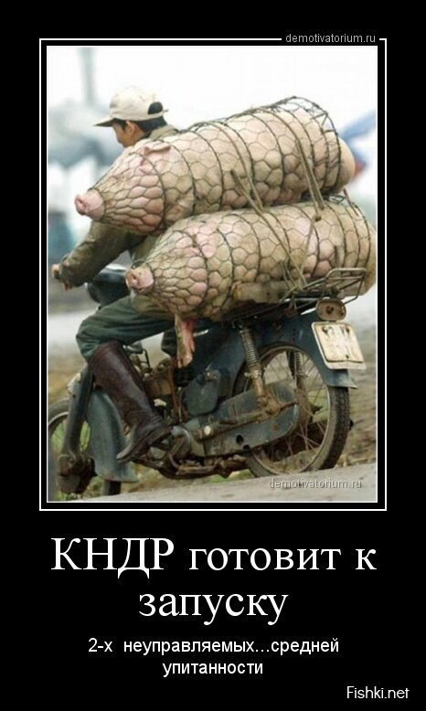Смешной демотиватор от zubrilov за 19.04.2013 №153875