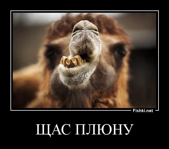 щас плюну