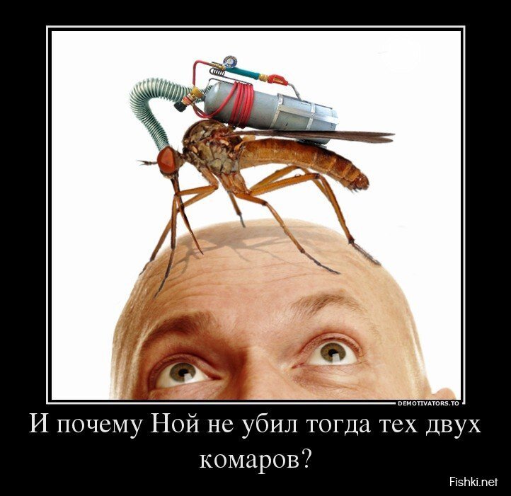 Смешной демотиватор от zubrilov за 24.04.2013 №154391