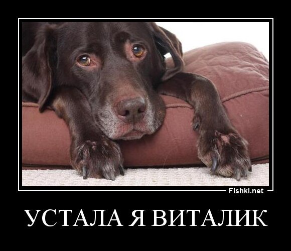 устала я виталик