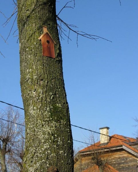 Смешные картинки