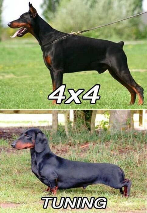 Прикольные фото