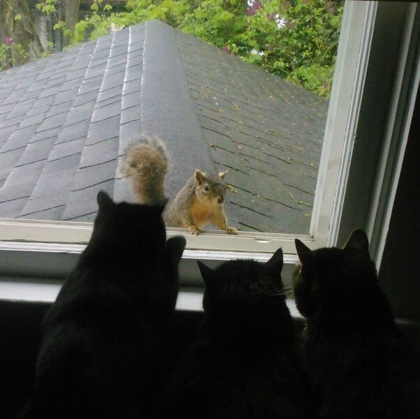 Фото онлайн