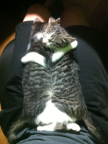 Фото онлайн