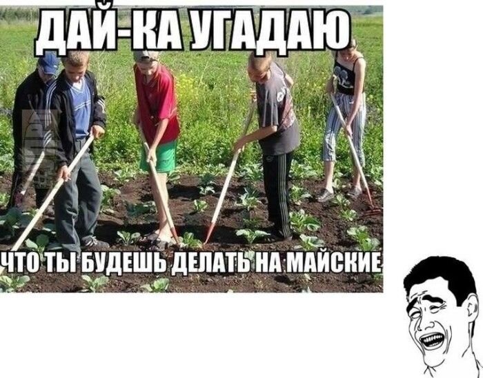 Прикольные фото и картинки от zubrilov за 26.04.2013 №154657