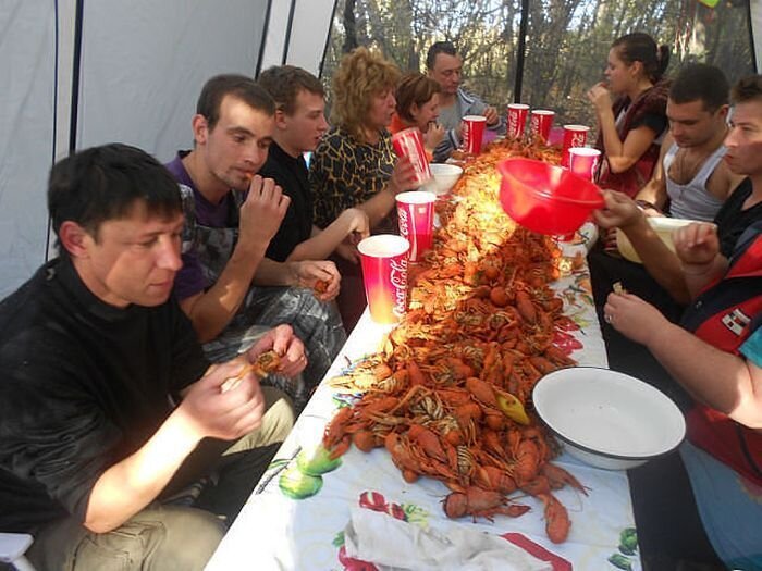 Фотоприкол недели