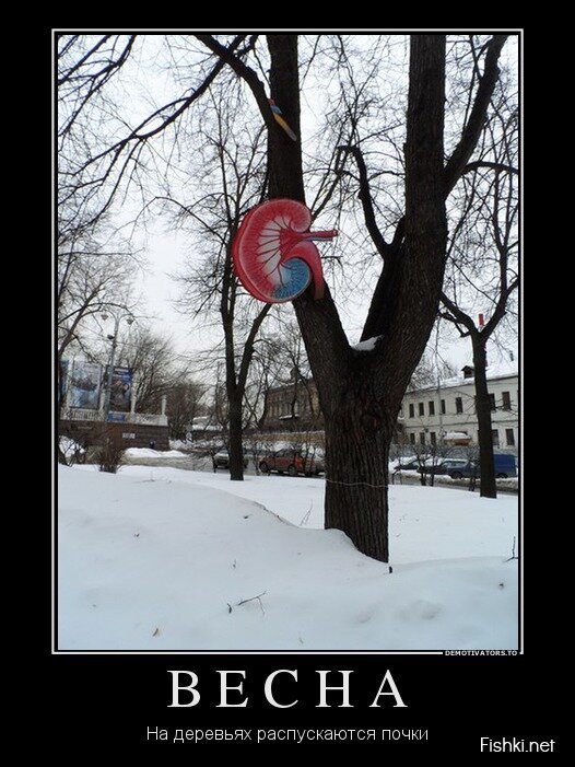 Демотиваторы, часть 372.
