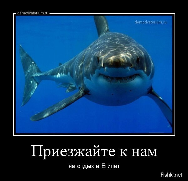 Смешной демотиватор от zubrilov за 26.04.2013 №154778