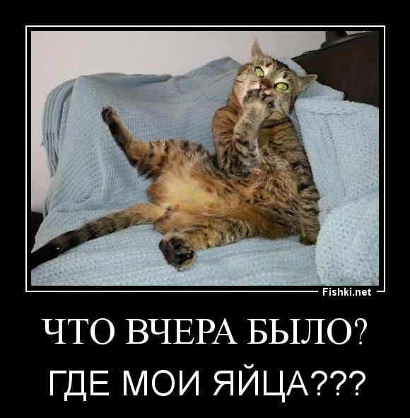 ЧТО ВЧЕРА БЫЛО?