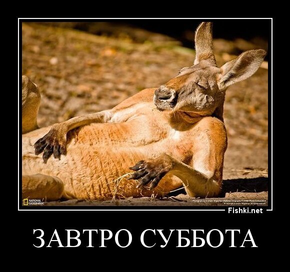 Завтро суббота