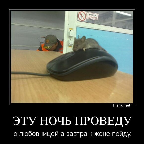 Эту ночь проведу 