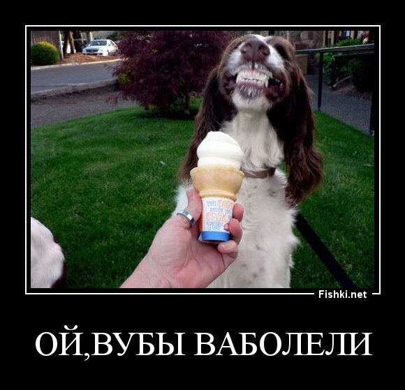 Ой,вубы ваболели.