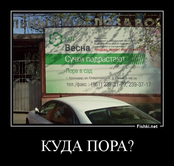 куда пора?