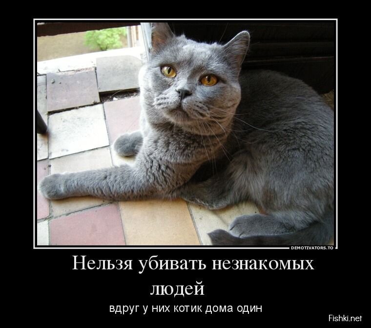 Смешной демотиватор от zubrilov за 29.04.2013 №154859