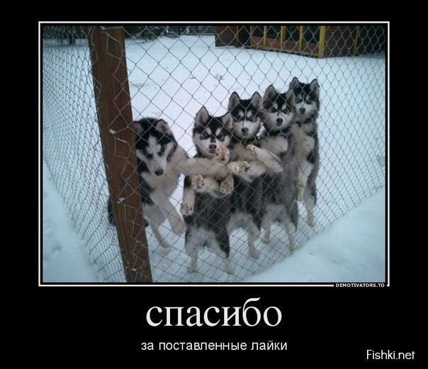 Смешной демотиватор от zubrilov за 29.04.2013 №154868
