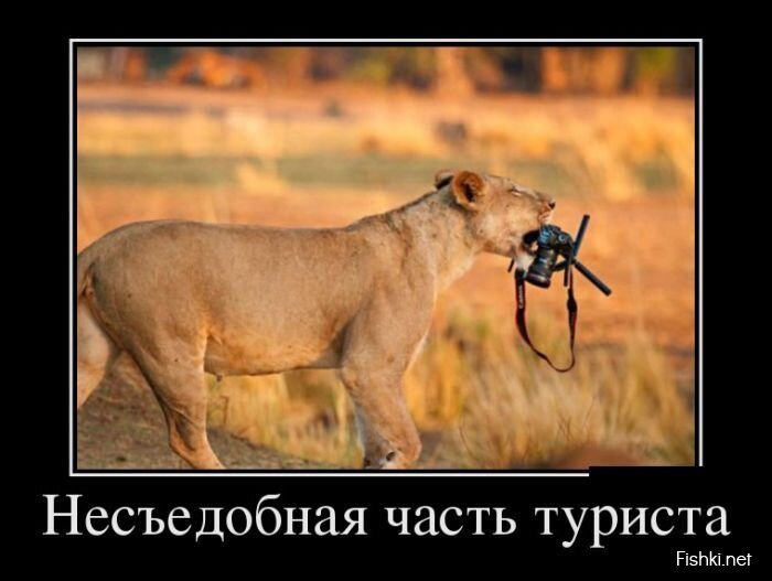 Смешной демотиватор от zubrilov за 29.04.2013 №154879