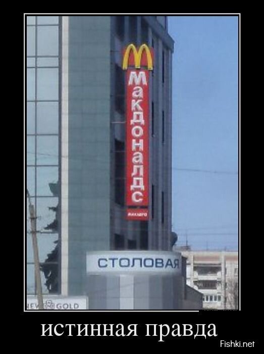Смешной демотиватор от zubrilov за 29.04.2013 №154882