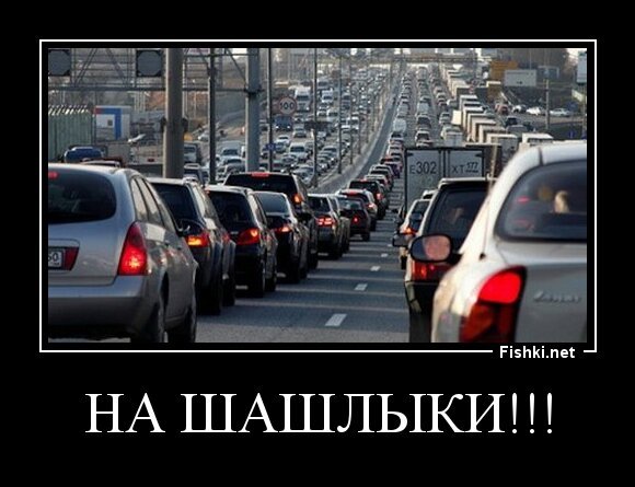 На шашлыки!!!