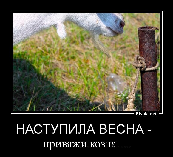 наступила весна -  
